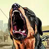 Advancegta