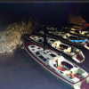 tn_gallery_80436_37_222753.png