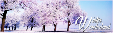Winter Wonderland