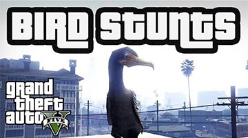 bird stunts carousel