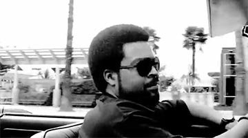 icecube carousel