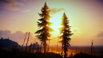 Paleto Forest
