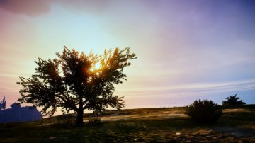Paleto Bay