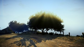 Palomino Highlands