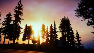 Paleto Forest