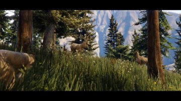 GTAV next Gen tease038