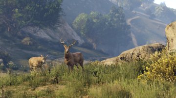 RSG GTAV NG Screenshot 033