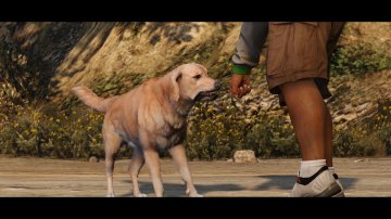 GTAV-NG-Trailer364.jpg