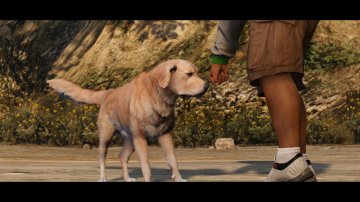 GTAV-NG-Trailer361.jpg