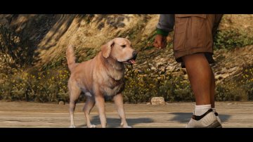 GTAV-NG-Trailer359.jpg