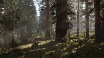 Red Dead Redemption 2 - Bos
