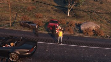 GTA Online Meeting 28 juli 2017