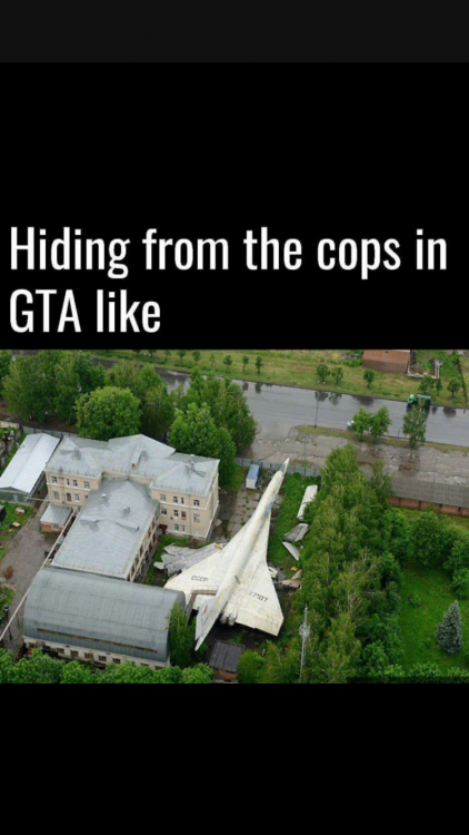 IMG_0985.PNG