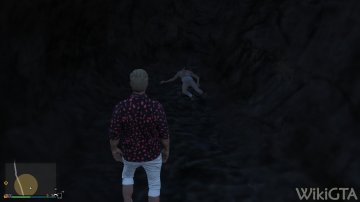 GTAOnline_RDR2_TreasureHunt10.jpg