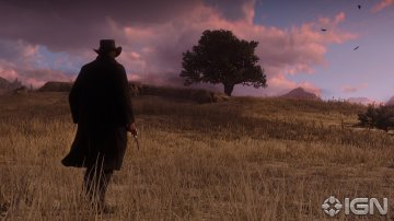 rdr2ign15.jpg