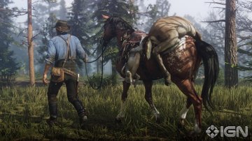rdr2ign4.jpg