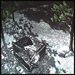 Rdr_bearclaw_camp.png