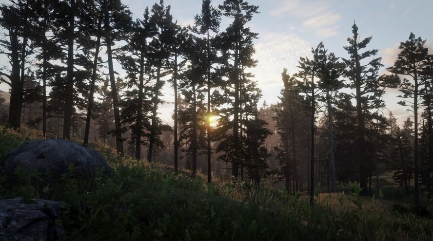 73.jpg.6ca258d3d3cc4ca134a5e66ad02bf3b5.jpg