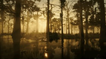 Bayou Nwa