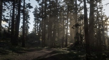 Tall Trees