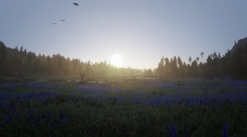 Big Valley