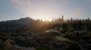 Cumberland Forest