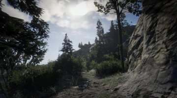 Cumberland Forest