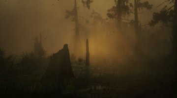 Bayou Nwa