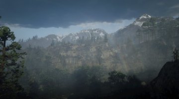 Cumberland Forest