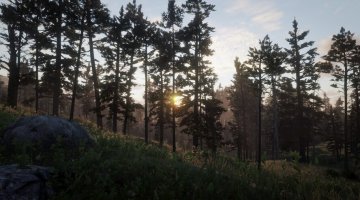 Cumberland Forest
