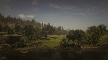 Tall Trees