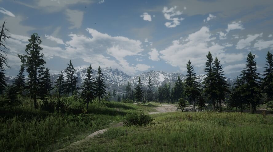 93.jpg