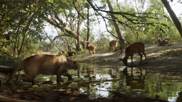 Mount_Kalaga_National_Park_05.jpg