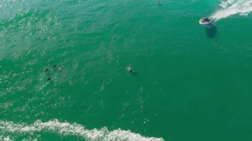 GTAVI_Trailer_1_screencap_0059.webp