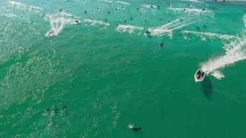 GTAVI_Trailer_1_screencap_0061.webp