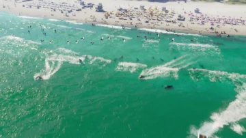 GTAVI_Trailer_1_screencap_0063.webp