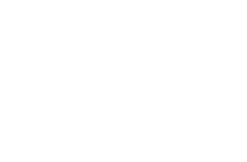 VI-palm-tree-logo-white.webp