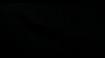 GTAVI Launch Trailer screencap 335.webp